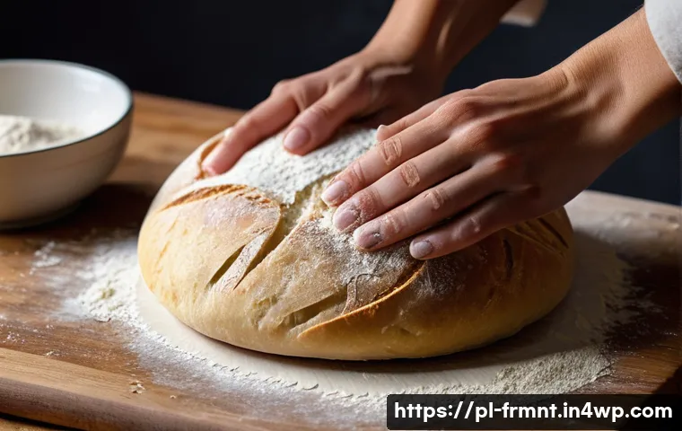 천연 발효빵 만들기 비법 공개 관련 이미지 1