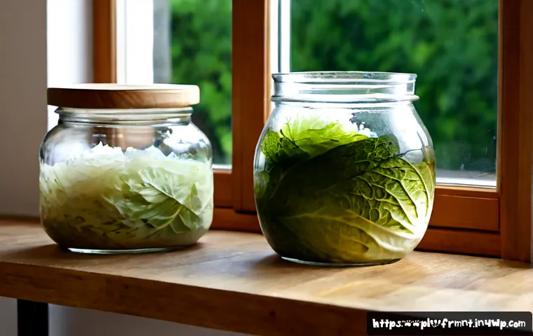 Home 17 발효식품 만들기 실수와 해결책 - Photorealistic Polish home kitchen scene showing a clear fermentation mistake and solution: two larg...